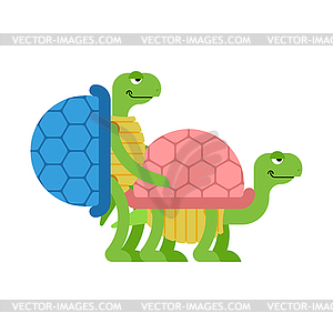 Turtle sex. Tortoise intercourse. Reptile . Animal - vector image
