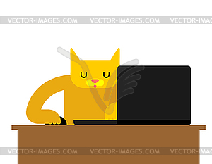 Cat laptop working. Pet and notebook - vector clipart