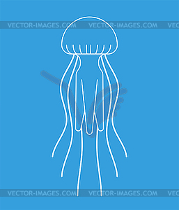 Jellyfish . Marine animal. wildlife - vector image