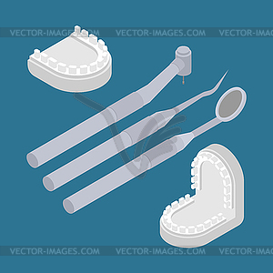 Gypsum jaw for dentist and tools. Cast of teeth. - color vector clipart