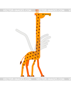 Giraffe . Long neck beast. Africa animal - vector image