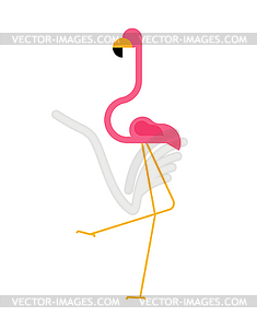 Pink flamingo . Bird long legs and neck - vector clipart