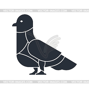 Cut of meat Dove. Pigeon silhouette scheme lines - vector clip art