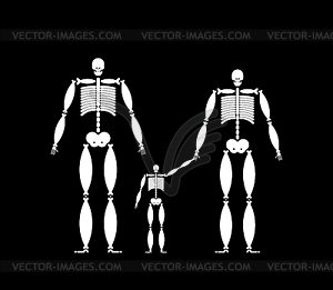 Семейный скелет. Папа мама и ребенок. Мертвая семья. - изображение в формате EPS