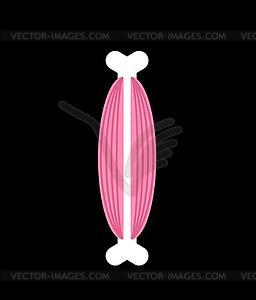 Bone with muscles. Human anatomy . illustrati - vector clipart