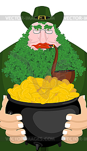 Leprechaun and Pot of gold. beard in Shamrock - color vector clipart