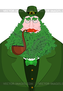 Leprechaun beard in Shamrock face. Clover - vector image