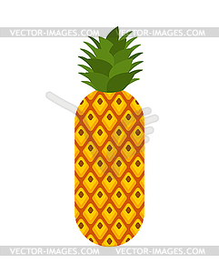 Pineapple . ananas exotic tropical fruit. illustr - vector image