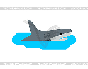 Shark in puddle. Marine predator in small plash - vector clip art