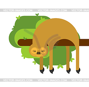 Sloth . lazybones animal Cartoon - vector clipart