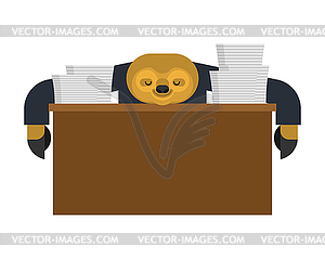 Sloth sleeping at work. lazybones at table. animal - vector clipart