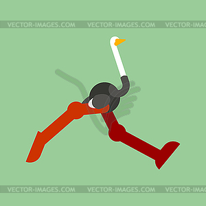 Ostrich run . Big bird - vector clip art