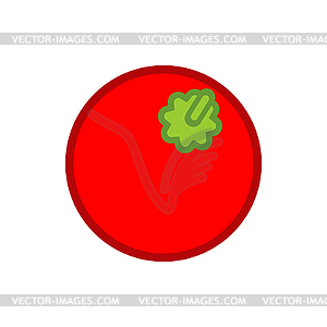 Помидор . овощной мультяшный стиль - стоковое векторное изображение