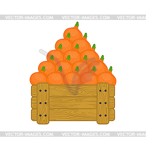 Onions in wooden box . Onion for sale on market. - vector image