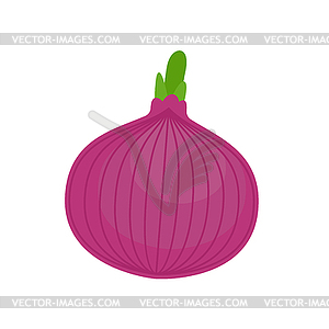 Red Onion . vegetable Cartoon style - vector clipart