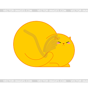 Fat cat . Thick pet. Cute animal Cartoon style - vector image