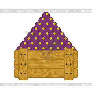 Mangosteen in wooden box . Mangosteen for sale on - vector clipart