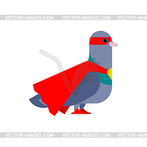 Dove superhero. Super pigeon In raincoat and mask. - vector image