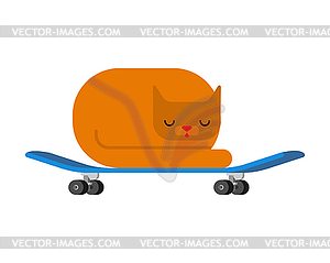 Cat on skateboard. Pet on board. Kitten Skateboarder - vector image