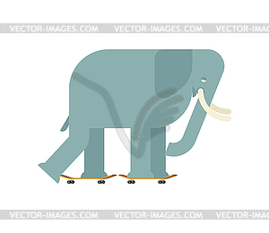 Elephant on skateboard. Large Animal on board. - vector image