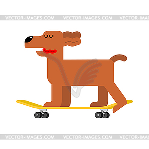 Dog on skateboard. pet on board. hound Skateboarder - vector clip art