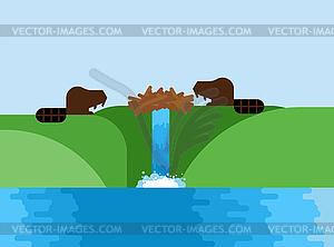 Beaver and dam. semi-aquatic mammal of order of - vector image