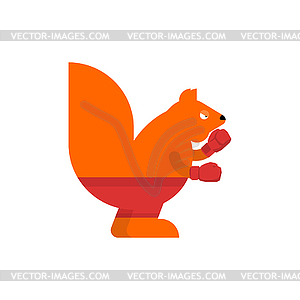 Squirrel boxer. Rodent in boxing gloves - vector image