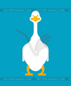 White goose front view . domestic waterfowl. illu - vector clipart