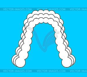 Judge wig . White hair curls - vector image