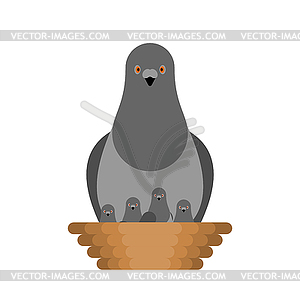 Dove and chicks in nest. Pigeon City bird - vector clip art