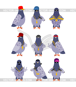 Pigeon gangster gang set. Cool City bird. SWAG - vector image