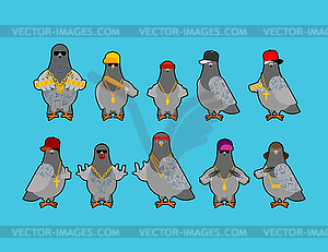 Pigeon gangster gang set. Cool City bird. SWAG - vector clip art