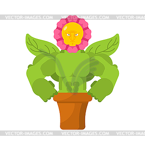 Strong Flower in pot. Powerful Home plant. herb - vector clipart