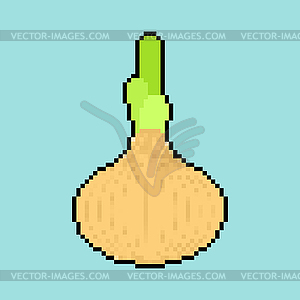 Onion pixel art . 8 bit vegetable - vector clipart