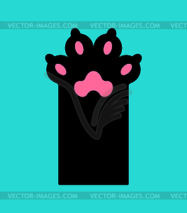 Cat foot . Pet paw - vector clipart