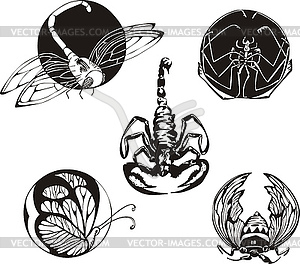 Round designs with insects - royalty-free vector image