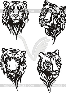 Set of tiger heads - vector EPS clipart
