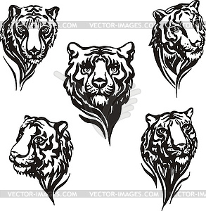 5 tiger heads - vector clipart