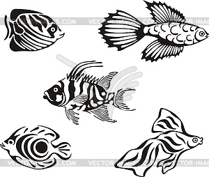 Set of black and white tropical fish - vector clipart