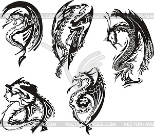 Set of black and white dragons - vector image