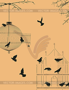 Birds and birdcages postcard  - vector image