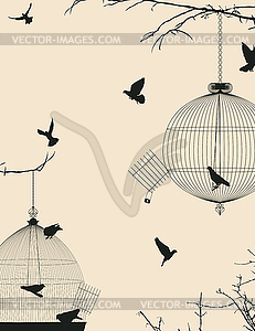 Birds and birdcages postcard - vector clipart