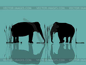Elephants playing in water - vector image
