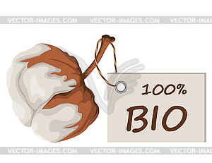 Cotton buds branch - vector image