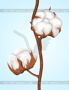 Cotton buds branch - vector clip art