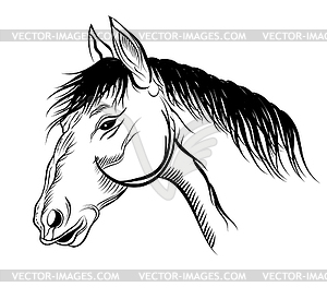 Mare - stock vector clipart