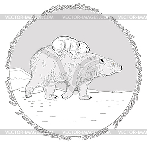 Polar Bears - vector image
