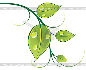 Pattern of twigs and leaves - vector image