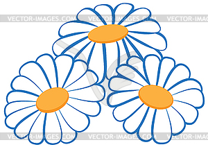 3 camomiles - vector image