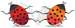 Dancing beetles - vector image